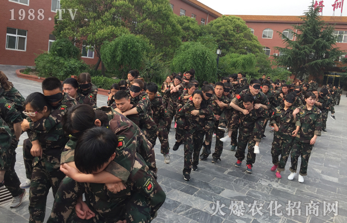 ��Ӗ(x��n)���Y(ji��)