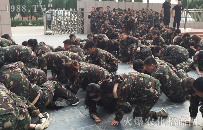 ÿһ�N��ʹ�����ի@��ÿһ�Κv�̶��ǳ��L