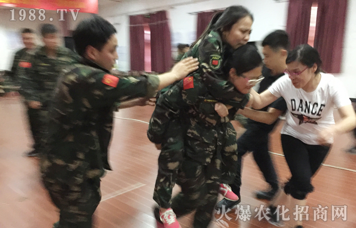 �ԉ����R���Ժ���Ȫ��������������ؓ(f��)���A