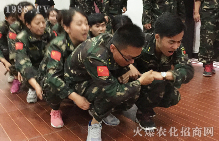 �ԉ����R���Ժ���Ȫ���������ģ���ؓ(f��)���A