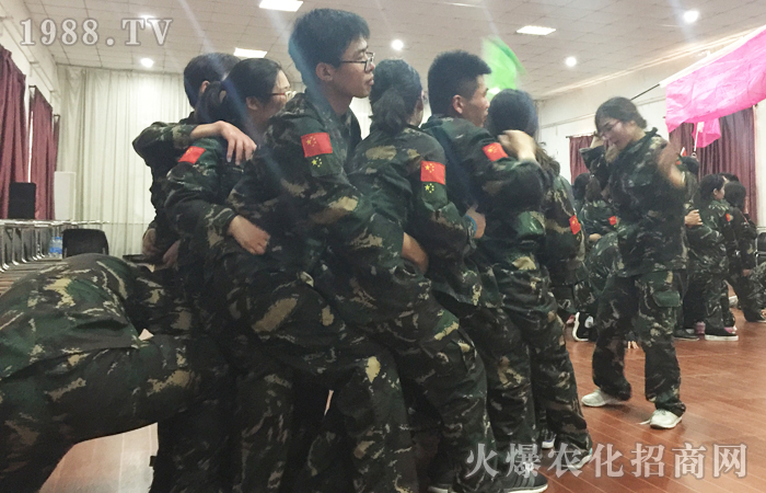 ����ȫ���Ը�������