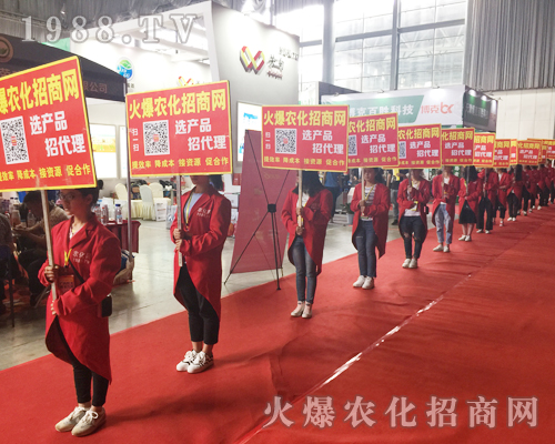 �o̎�����r(n��ng)���W(w��ng)���M�۱M�ǻ𱬼t��