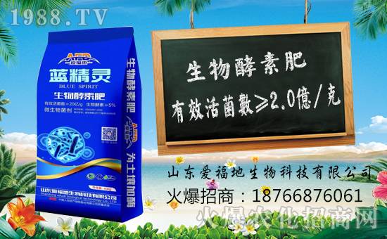 ���۸������ף������µ�һ�������w���������꼪����