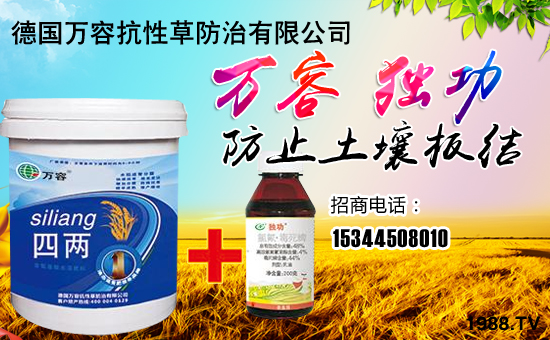 �����f�ݡ�ȫ�w�T����ףȫ�����N�����w����������l(f��)��ؔ��