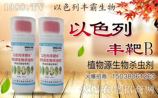 ���S�����ȫ�w�T����ף����´��옷�������d����