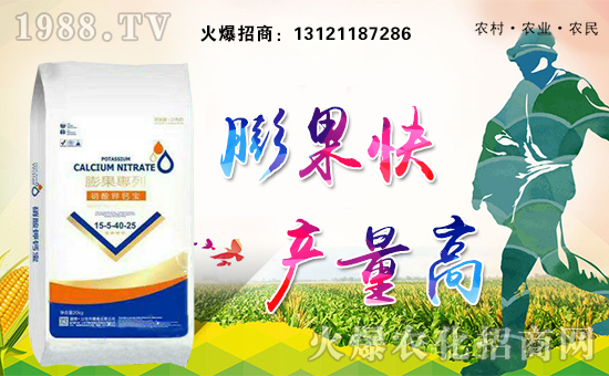     ���A��(chu��ng)������ף������µ�һ�������w�������f��������