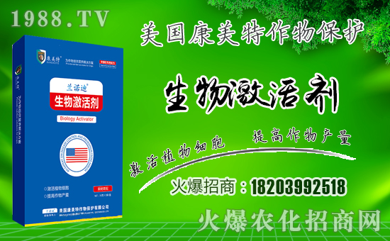 �����������ף������µ�һ���﹤�����������������