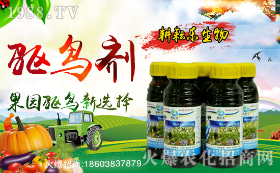 �����Ř����ף������µ�һ���������³����f��������