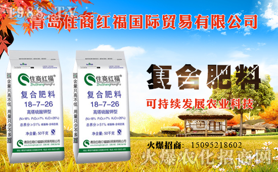 ��ס�̼t����ף������µ�һ�������w�������f�����⣡