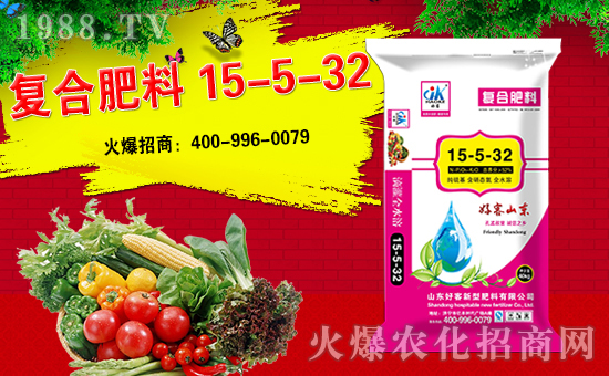 ��ɽ�|�ÿ͡�ף��ҹ�����\(y��n)�L��������ͥ�������d����