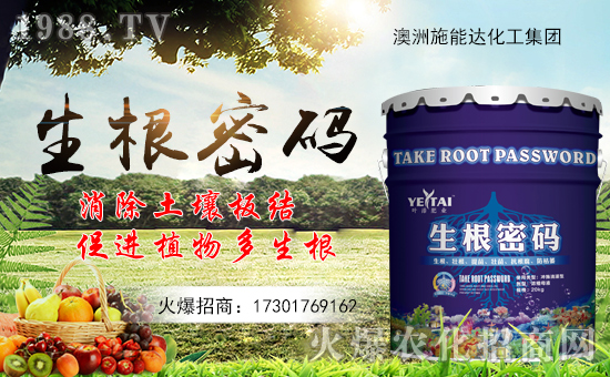 ��ʩ���_������ףȫ���������µ�һ�����_������f��������