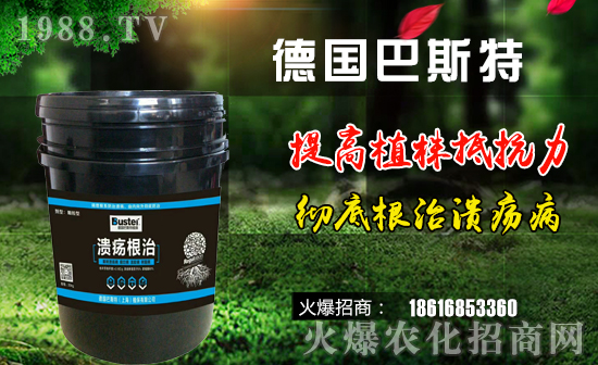 ������˹�ء�ף��ҹ���󼪣��f��������