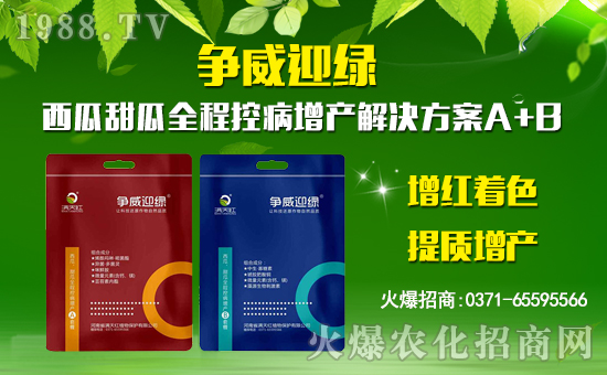 ���M��tֲ�ף������µ�һ�������w�������f��������