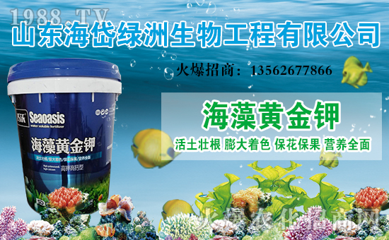 ����᷾G�ޡ�ף������옷���Ҹ��d�d��