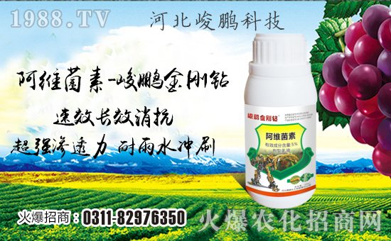 �����i�Ƽ���ףȫ���������w���������������