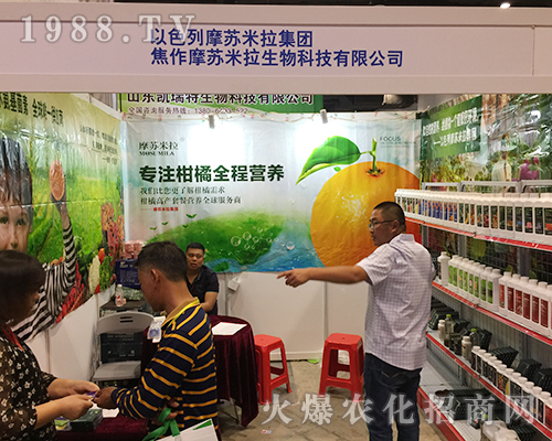 ����������2018��16���Ϸ��r�Y���Ͼ�������