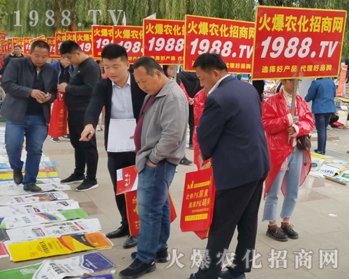     2018ɽ�|����ֲ�����ו������r(n��ng)���W(w��ng)����ֱǰ��