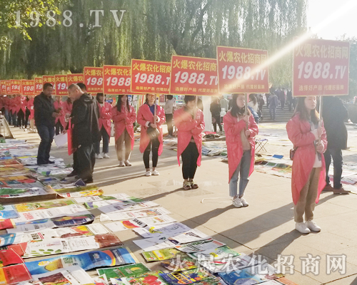     ��24��ɽ�|ֲ���������cͻ�@��1988.TV�ɽ��c��