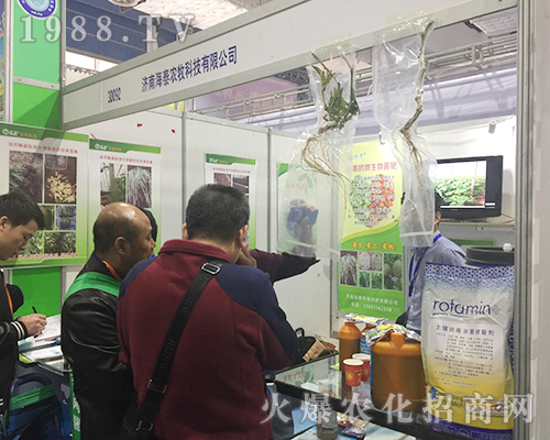 ���Ϻ�̩�r(n��ng)����2018ɽ�|ֲ�����W���l(f��)��