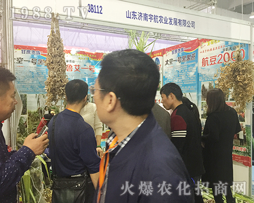 ɽ�|��(j��)����r(n��ng)�I(y��)��2018ɽ�|��(j��)��ֲ�����ו�(hu��)���@����