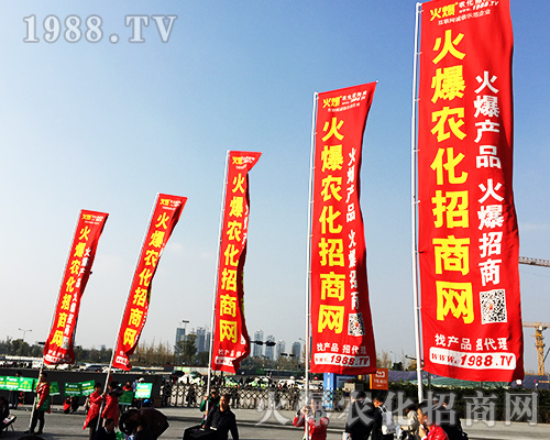 ����ʮ�Č�ȫ��ֲ���������r(n��ng)�����̾W(w��ng)�L(f��ng)��ȫ����