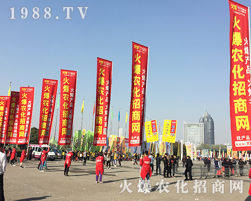     ��21�ú��������r(n��ng)ˎ���ϻ��r(n��ng)���W(w��ng)��Ӣ�ɳ�������(zh��n)����