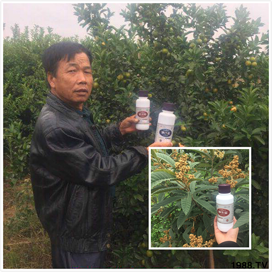 Ӣ��(gu��)�W�ʩ�طN�������޹�˾