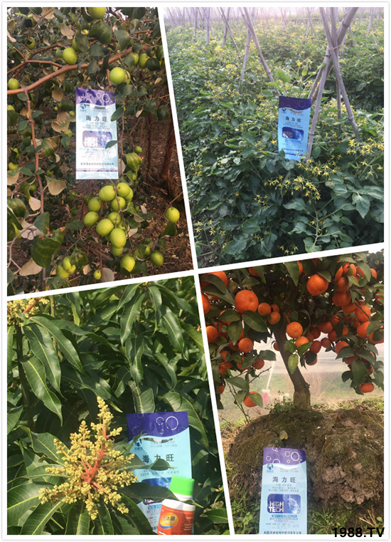 Ӣ��(gu��)�W�ʩ�طN�������޹�˾