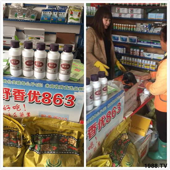 Ӣ��(gu��)�W�ʩ�طN�������޹�˾