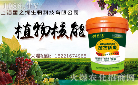 ���Ϻ���֮����ף������µ�һ�������w�������f�����⣡