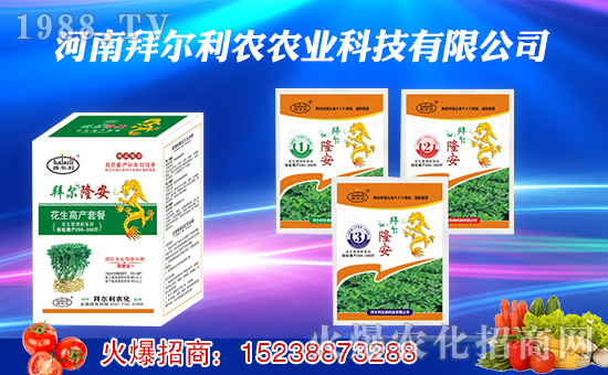 ���ݠ����r(n��ng)��ף������������t�t�����