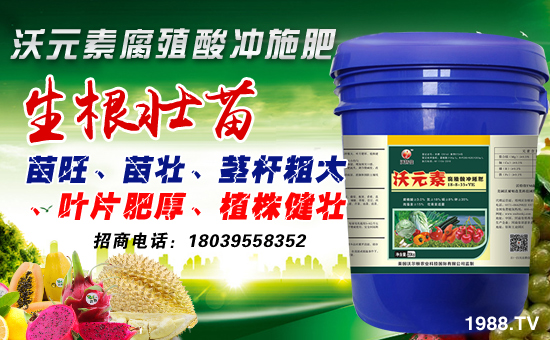 ���֠��D�r(n��ng)�I(y��)��ף������µ�һ�����´��󼪡��f��������