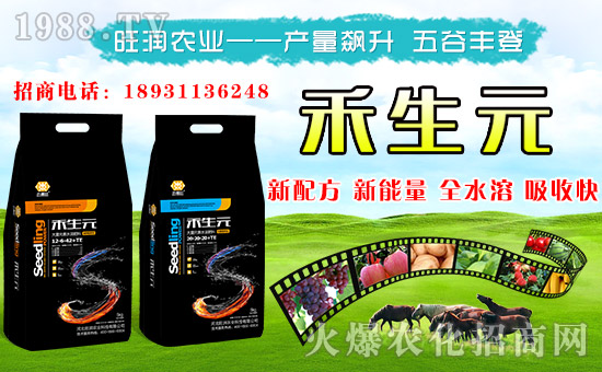 �������r(n��ng)�I(y��)���o����������ף���´������f�����⣡