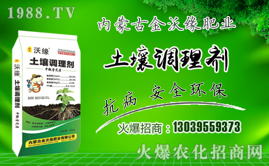 �����־��ʘI(y��)��ףԸһ·�������т����w���������꼪����