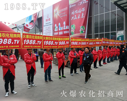 Ҫ����������1988.TV�ذ�����2018�ӱ�ֲ������