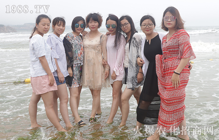 2018���ҵ�������Լ�