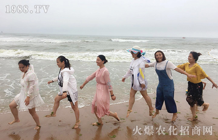 һ��������һ������