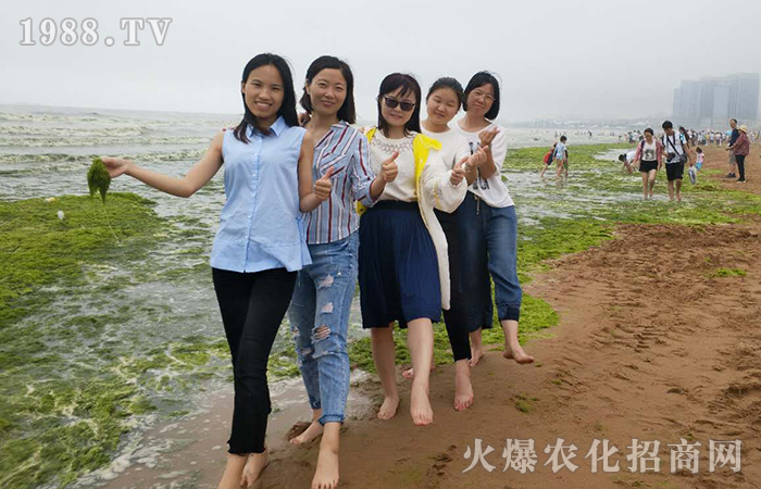 �t�u�G��  �̺��{(l��n)��