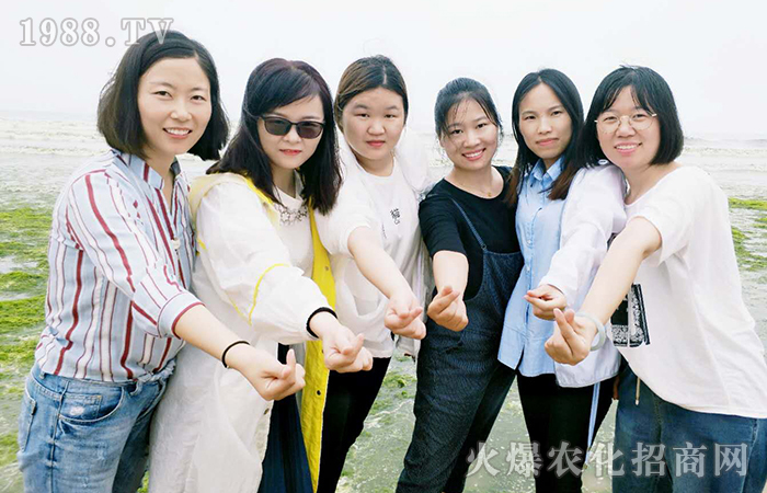 �����������ж���˾