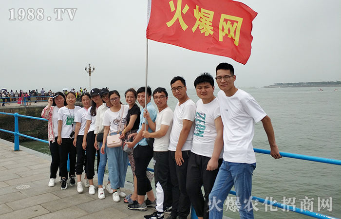 ��ס�׾��������������ſv