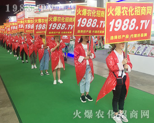 ���r(n��ng)���W(w��ng)�F(tu��n)�Y(ji��)һ�y�ֲ�������2018�����r(n��ng)�Y���[��(hu��)��