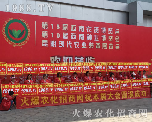 �o̎�����r(n��ng)���W(w��ng)���M�۱M�ǻ𱬼t��