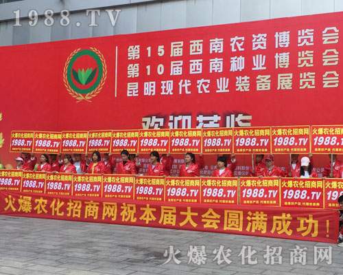 �o̎�����r(n��ng)���W(w��ng)���M�۱M�ǻ𱬼t��