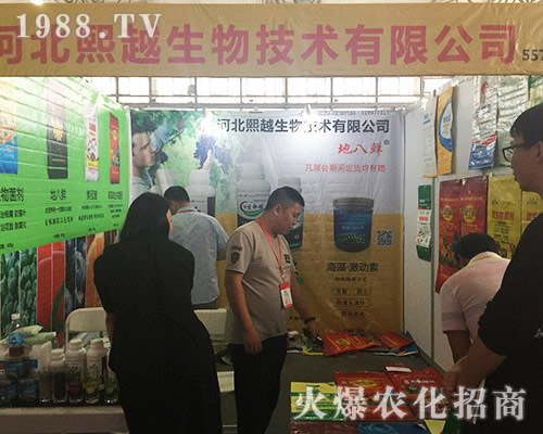 �ӱ���Խ�����ذ����u��ʮ��������r�Y���[��