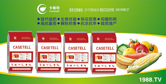 ����ɫ�п�ʩ�ء�ף��ҡ��¡����o��������������¡���s��