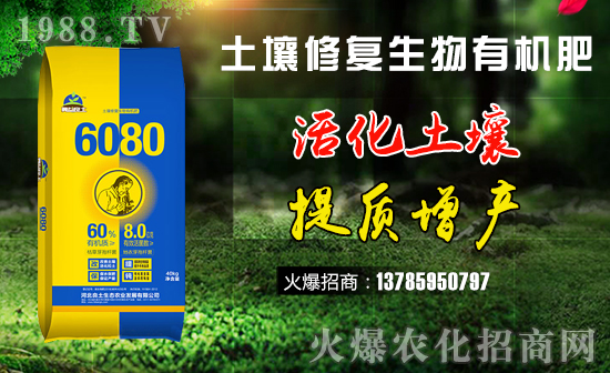     �����ޏ�(f��)�����ЙC��-6080-��������