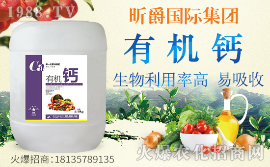 ��꿾���H��ףȫ���������w�������f��������