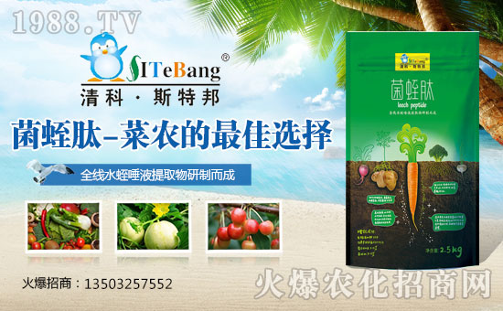     �����������ϏS��ȫ�w�T��ף��Ҽ���l(f��)ؔ�������³���