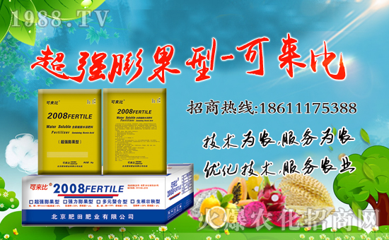 ������ʘI(y��)��ףȫ�����Ѻ��¶����Ц�ݶ�࣡