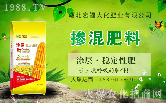 ���긣�󻯡�ף������µ�һ�������w�������f(w��n)��������